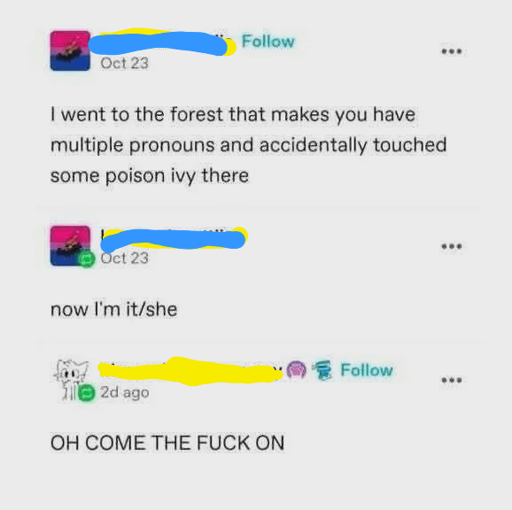 A post from a user, name is obscured: I went to the forest that makes you have multiple pronouns and accidentally touched some poison ivy there . Reply from the same user: now I'm it/she.  Then a reply from a second user: OH COME THE FUCK ON