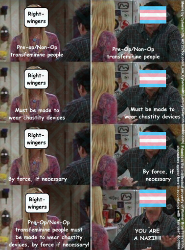 The Phoebe/Joey from Friends meme comic in which they practise Joey'ss lines.  Phoebe is trying to get joey to say "Pre/No op transfeminine people must be made to wear chastity devices by force if necessary" to which joey responds by calling her a nazi